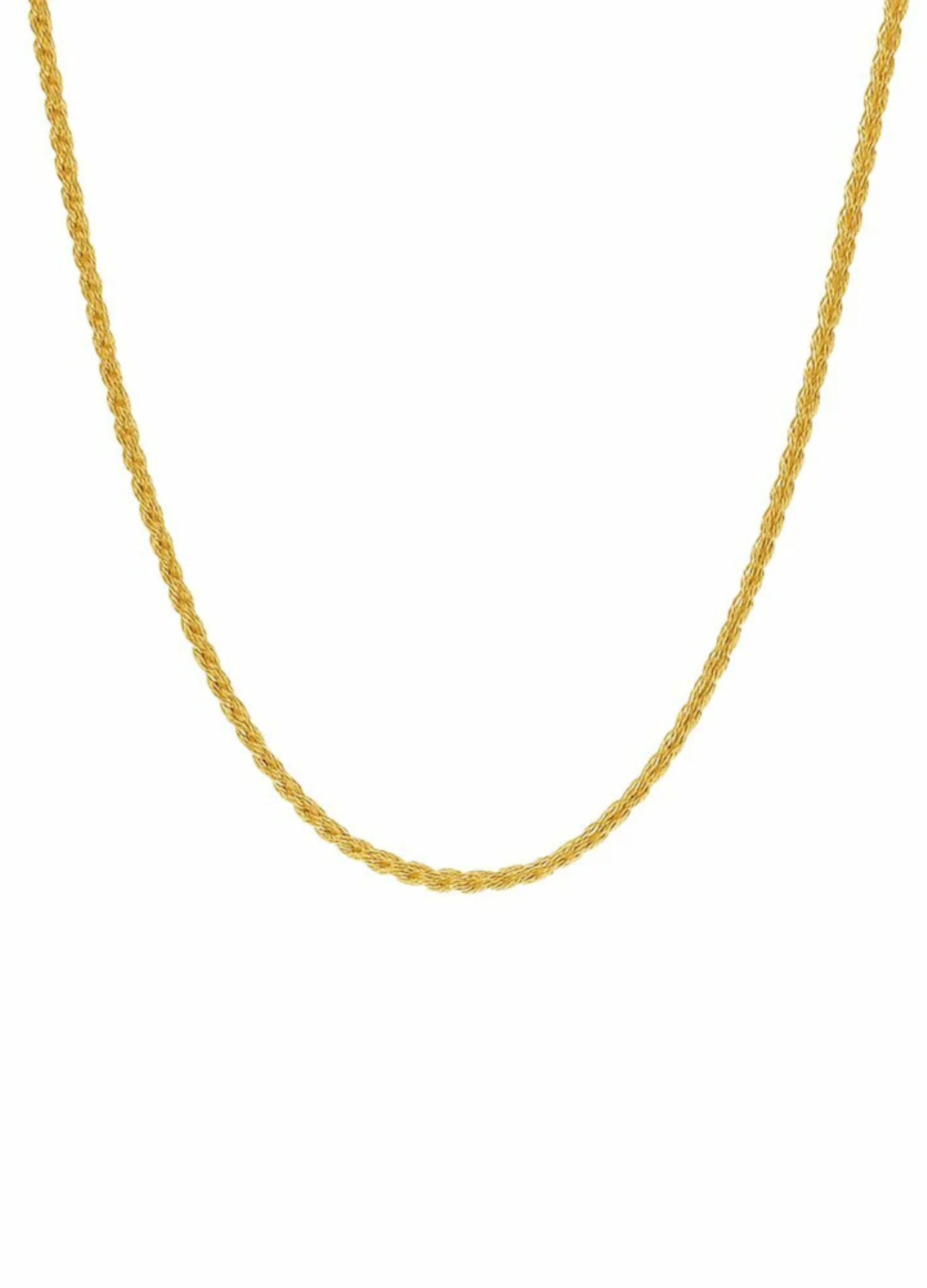 Steel & Barnett Helix Gold Chain Necklace