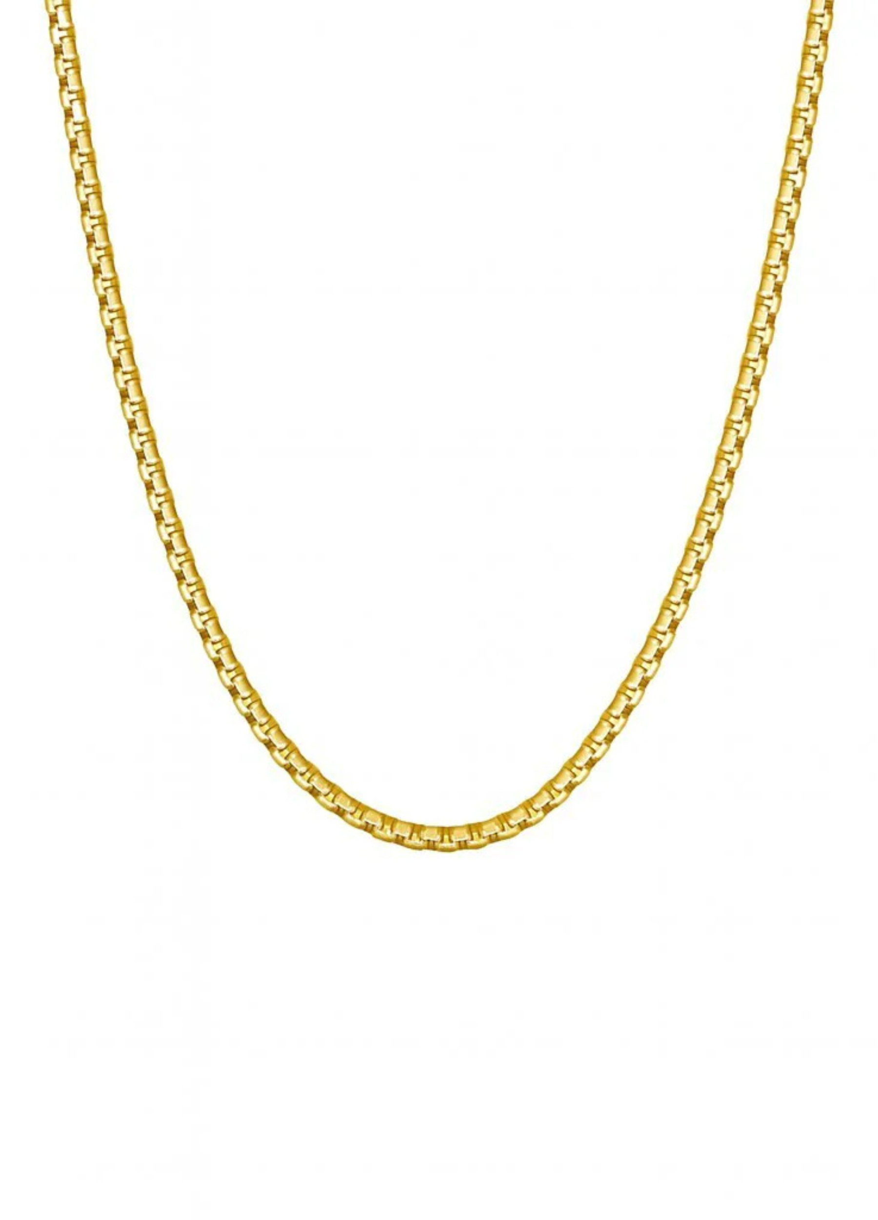 Steel & Barnett Boxed Gold Chain Necklace
